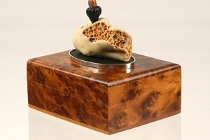 Burl box with coral